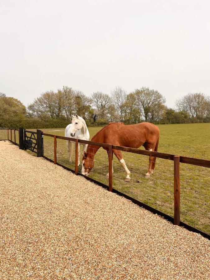 The Hayloft Villa Gestingthorpe Eksteriør billede